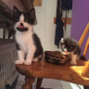 Meet your Posher, Lynn